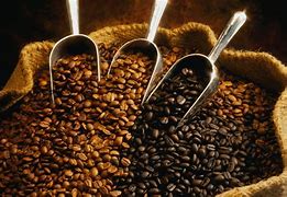 Beneficios delcafé>
                   <ul>    
            <p><b>Mejora la concentración:</b> La cafeína estimula el sistema nervioso, ayudando a la memoria y el enfoque.</p>
            <li><b>Reduce el riesgo de enfermedades:</b> Estudios sugieren que el café disminuye el riesgo de diabetes tipo 2 y enfermedades neurodegenerativas.</li>
            <li><b>Contiene antioxidantes:</b> Protege el cuerpo contra los radicales libres y el envejecimiento celular.</li>
            <li><b>Mejora el rendimiento físico:</b> La cafeína aumenta la adrenalina, mejorando la resistencia en el ejercicio.</li>
            <li><b>Ayuda en la digestión:</b> Puede estimular el sistema digestivo y aliviar el estreñimiento.</li>
                  </ul>
<iframe width=